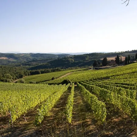 Ferienhaus Poggio Al Sole